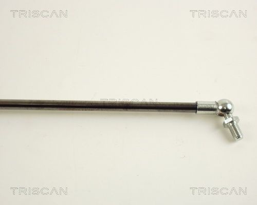 Упругий элемент, крышка багажника / помещения для груза 871040201 TRISCAN