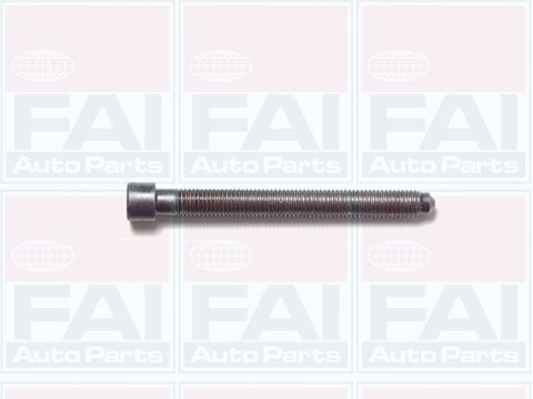 Комплект болтов головки цилидра B1006 FAI