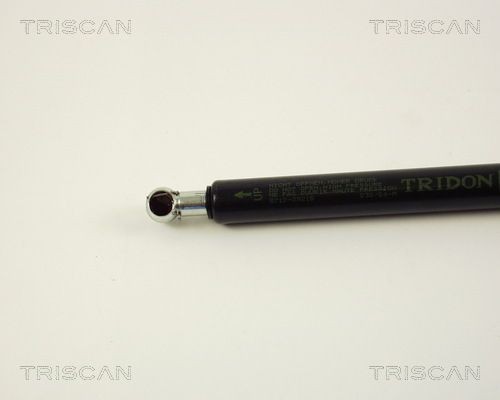 Упругий элемент, крышка багажника / помещения для груза 8710 29215 TRISCAN