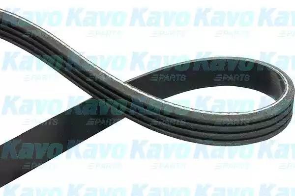 Поликлиновой ремень DMV1001 KAVO PARTS