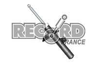 Амортизатор подвески 104179 RECORD FRANCE