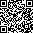 Кожух пневматической рессоры 040606006500 TEMPLIN