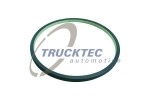 Прокладка 01.30.012 TRUCKTEC