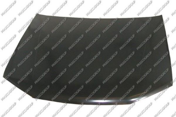 Капот двигателя PG0573100 PRASCO GROUP