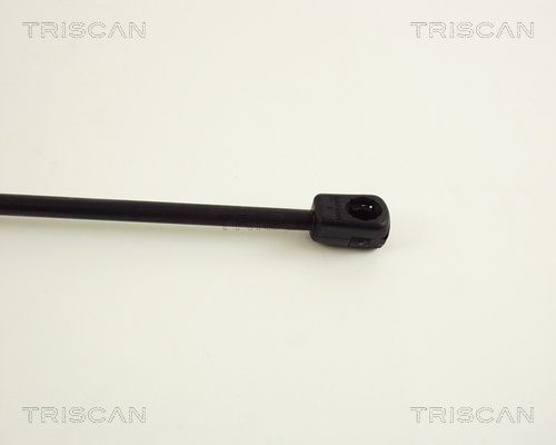 Упругий элемент, крышка багажника / помещения для груза 871038203 TRISCAN