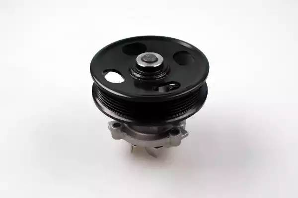 Водяной насос P323 HEPU