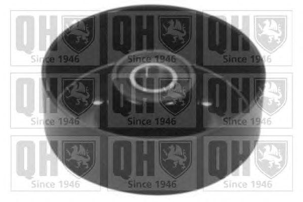 Паразитный / ведущий ролик, поликлиновой ремень QTA1234 QUINTON HAZELL