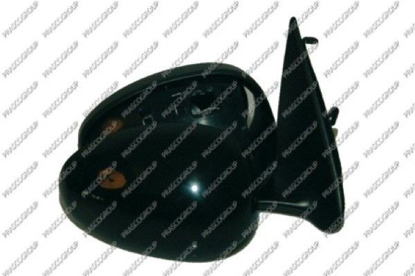 Наружное зеркало RG4227113 PRASCO GROUP