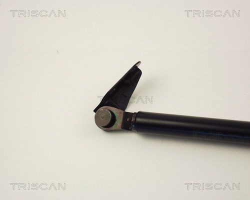 Упругий элемент, крышка багажника / помещения для груза 8710 13246 TRISCAN