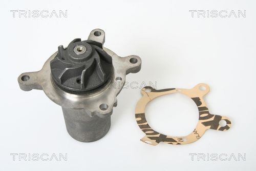 Водяной насос 860023890 TRISCAN