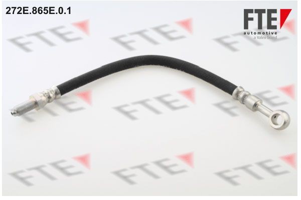 Тормозной шланг 272E.865E.0.1 FTE