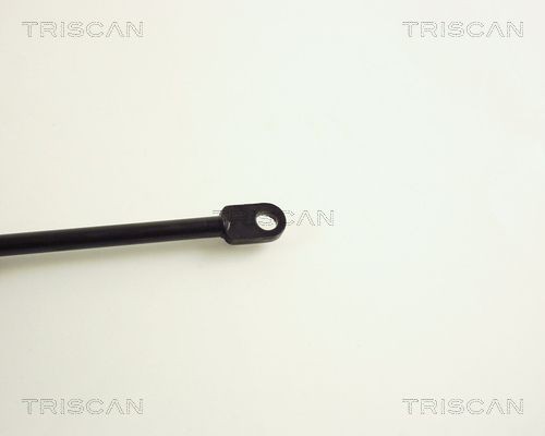 Упругий элемент, крышка багажника / помещения для груза 871029228 TRISCAN