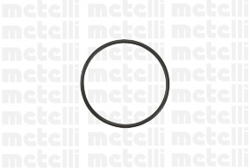 Водяной насос 24-0941 METELLI