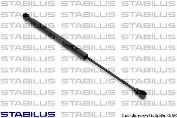 Упругий элемент, крышка багажника / помещения для груза 1389BJ STABILUS