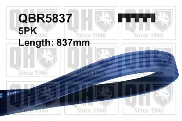 Поликлиновой ремень QBR5837 QUINTON HAZELL