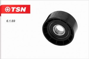 Ролик ремня приводного 6169 TSN