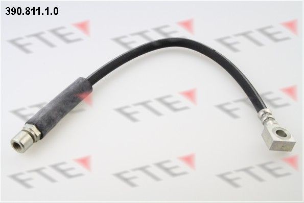 Тормозной шланг 39081110 FTE