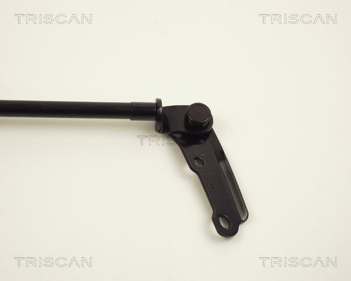 Упругий элемент, крышка багажника / помещения для груза 871013225 TRISCAN
