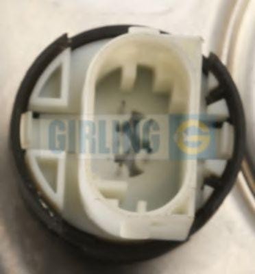 Усилитель тормозной системы 4110342 GIRLING