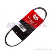Поликлиновой ремень 4-PK-613 GATES