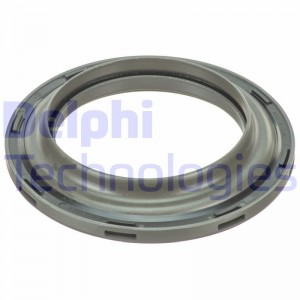 Комплект подшипника ступицы колеса BK489 DELPHI