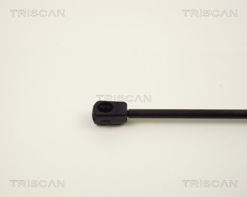 Упругий элемент, крышка багажника / помещения для груза 87102807 TRISCAN