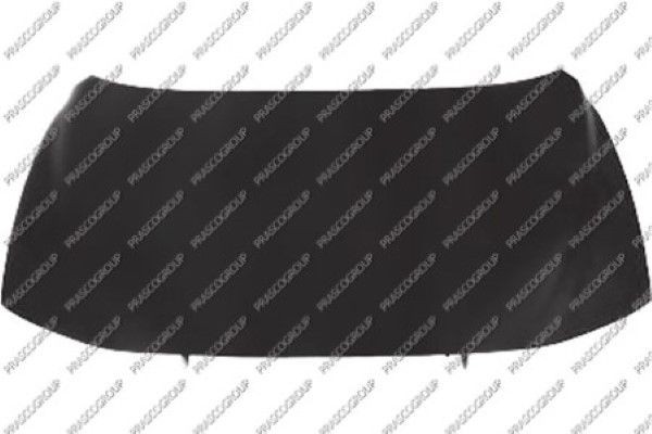 Капот двигателя VV5123100 PRASCO GROUP