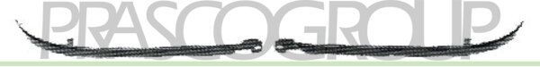 Радиатор, охлаждение двигател DW320R001 PRASCO GROUP