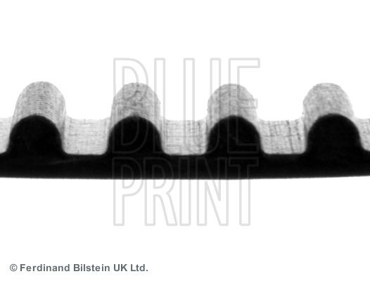 Ремень ГРМ ADM57512 BLUE PRINT