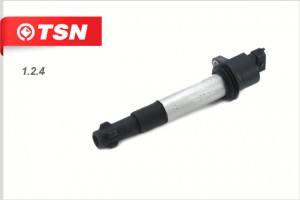 Катушка зажигания 124 TSN