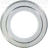 Уплотнительное кольцо, стержень кла 70-23062-00 VICTOR REINZ