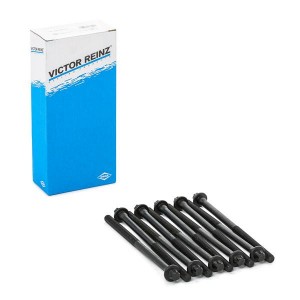 Комплект болтов головки цилидра 14-32075-01 VICTOR REINZ
