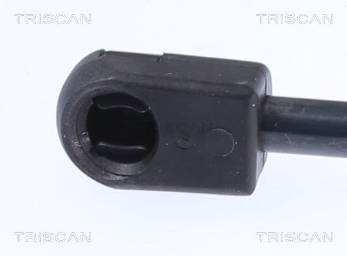 Упругий элемент, крышка багажника / помещения для груза 871015204 TRISCAN