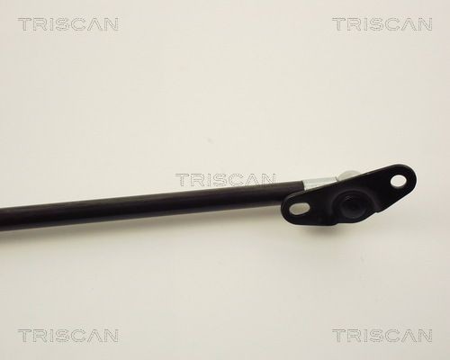 Упругий элемент, крышка багажника / помещения для груза 8710 13243 TRISCAN