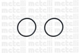 Водяной насос 24-0579 METELLI