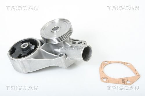 Водяной насос 8600 67001 TRISCAN