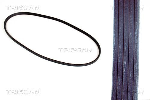 Термовыключатель, вентилятор радиатора 8625 109087 TRISCAN