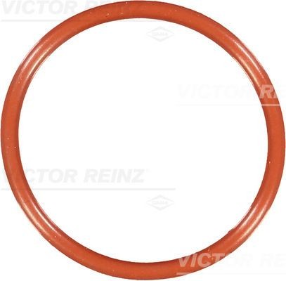 Уплотняющее кольцо 407669200 VICTOR REINZ