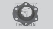 Кронштейн, подшипник тормозного 030200245380 TEMPLIN