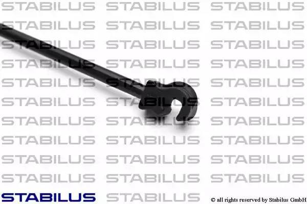 Упругий элемент, крышка багажника / помещения для груза 8913BK STABILUS