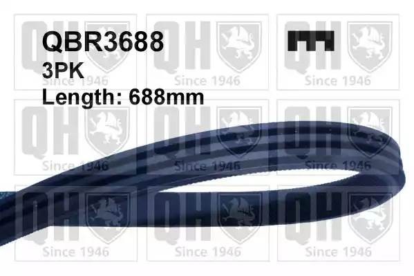Поликлиновой ремень QBR3688 QUINTON HAZELL