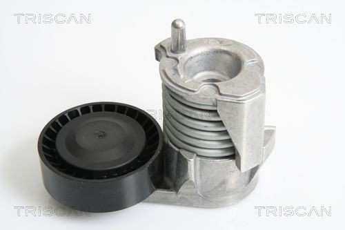 Поликлиновой ремень 8640400813 TRISCAN