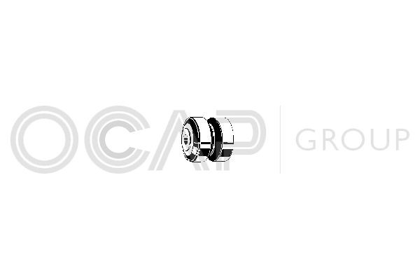 Кронштейн, подушки рычага 1215019 OCAP