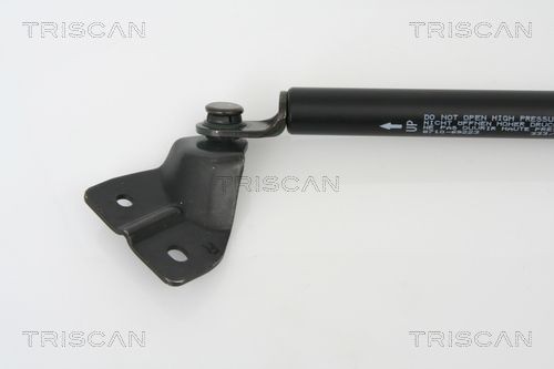 Упругий элемент, крышка багажника / помещения для груза 871069223 TRISCAN