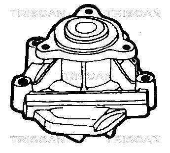 Водяной насос 860040804 TRISCAN