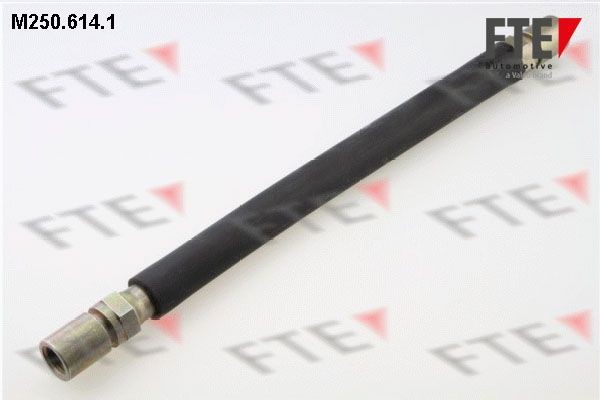 Тормозной шланг M2506141 FTE