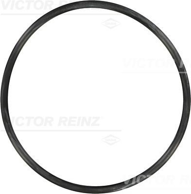 Уплотняющее кольцо 40-76901-00 VICTOR REINZ