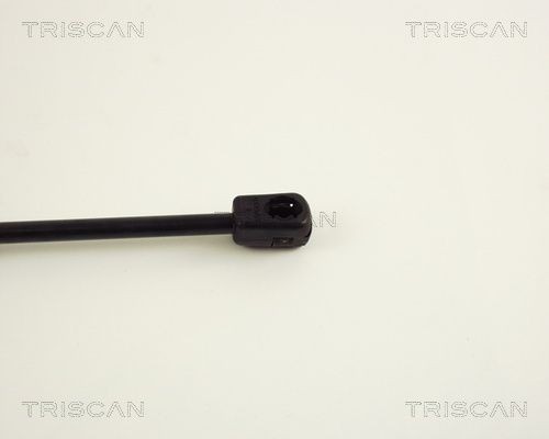 Упругий элемент, крышка багажника / помещения для груза 8710 29231 TRISCAN