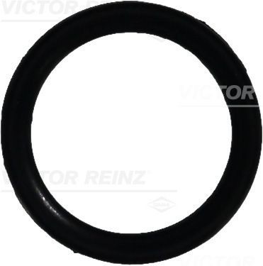 Уплотняющее кольцо 40-76064-00 VICTOR REINZ