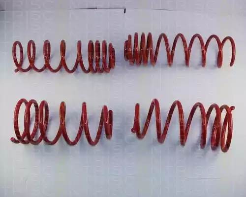 Комплект ходовой части, пружины 875529028 TRISCAN